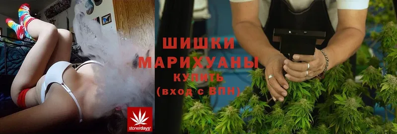 купить наркотики сайты  Армавир  Шишки марихуана SATIVA & INDICA 